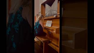 KV 397 Arnstein Stöberl Orgel Harmonium Pfründner Spital Mozart Fantasie dMoll Shorts [upl. by Yddet]