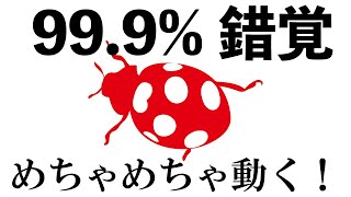 目の錯覚！動くてんとう虫？本当に静止画なのか！？動いて見える！濃く見える！など錯視画像のご紹介！ [upl. by Niboc]