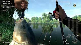 Fishing Planet  Weeping Willow  Common Carp Unique [upl. by Jaynes455]