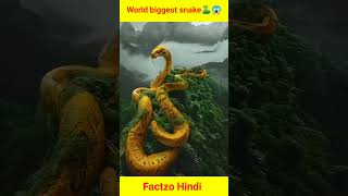 World biggest snake 🐍trendingshorts amezingfacts sciencefacts youtubeshort [upl. by Llemaj]