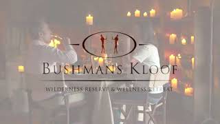 Kadoro Lodge Bushmans Kloof Wilderness Reserve and Wellness Retreat [upl. by Yddeg915]