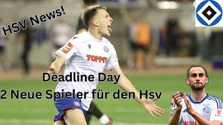 Hsv News  Deadline Day Hsv verpflichtet 2 neue Spieler [upl. by Rodrigo]