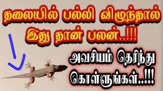 தலையில் பல்லி விழுந்தால் இதுதான் பலன் அவசியம் தெரிந்து கொள்ளுங்கள்  Palli vilunthal enna palan [upl. by Brenden]