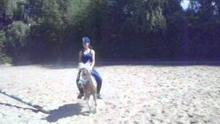 Ronja und Ich beim reiten springen [upl. by Cindi]