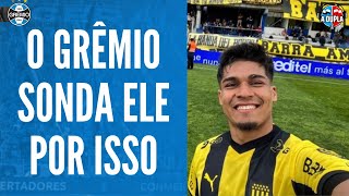 🔵⚫ Grêmio Matias Arezo  finalizador nato  Faro de gol e velocidade  Talento e potencial [upl. by Tloc271]