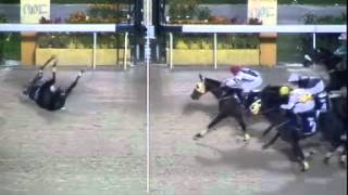 Perhaps this is the horse racing accident you never seen in your live [upl. by Aleinad]