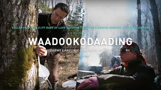 Waadookodaading Ojibwe Language Immersion School  The Ways [upl. by Gilli]