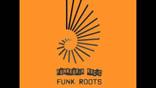 Funkrudin Krcic  Funk Roots [upl. by Anaihr]