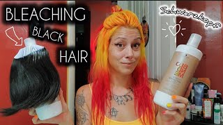 BLEACHING BLACK HAIR with BLONDME SCHWARZKOPF 20 VS 7 VOLUME DEVELOPER [upl. by Lotsyrk]