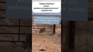 İMKANSIZ KELİMESİ ANCAK APTALLARIN SÖZLÜĞÜNDE BULUNUR NAPOLEON HILL [upl. by Correy]