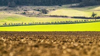 “La Corima Drôme Provençale 2022” Official aftermovie 🎬 [upl. by Naujid]