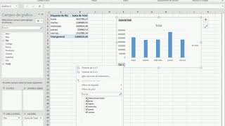 Gráficos dinámicos en Excel [upl. by Marvel310]