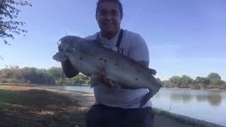 Catching huge Catfish with cut Eel with Elstan Perez [upl. by Aisek505]