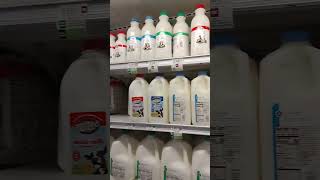 Milk from Publix milk publix dairy delicious shopping florida life deals groceryshopping [upl. by Tik748]