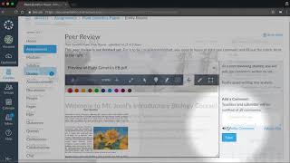 Peer Reviews Canvas Tutorial Video Series [upl. by Llennoc]