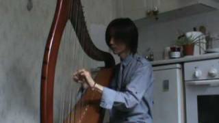 Comptine dun Autre Été on the Harp [upl. by Annia]