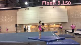 Pink Invitational 2019 Maggie Ayers Level 10 Hanover Gymnastics [upl. by Ahcsatan231]