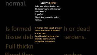 Scab vs Eschar [upl. by Nomelihp148]