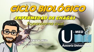 ✔CICLO BIOLOGICO de Trypanosoma cruzi [upl. by Norvell553]