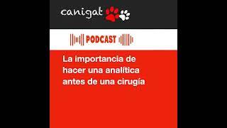 122 La importancia de hacer una analítica antes de una cirugía [upl. by Neema]