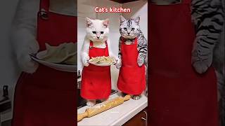 Cats first time kitchen😂😺😱 cat cutecat aicat cute [upl. by Cressy]