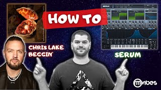 How To Chris Lake  Beggin Serum Presets [upl. by Nelad]