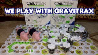 We play with Gravitrax by Happy Pigs [upl. by Humph711]