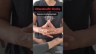 Uttarabodhi Mudra Gesture of enlightenmentyoga mudra [upl. by Ardnassac]