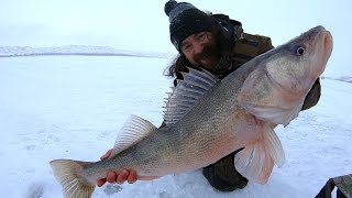 Diefenbaker Ice Walleye 30” BEAST [upl. by Dmitri]