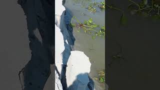 river erosion Nature natural disaster Sandy trending 2024 [upl. by So]