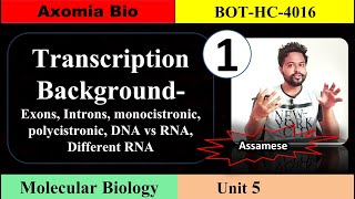 Transcription background cistron DNARNA  Unit 5  Class 1  Axomia Botany  BOTANY MAJOR GU [upl. by Gabler]