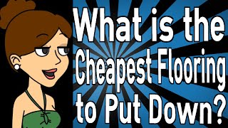 What is the Cheapest Flooring to Put Down [upl. by Akenot]