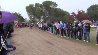 2010 CIF XC State Meet  Div 1 Boys [upl. by Zabrina]