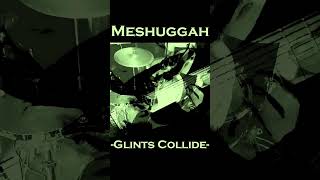 Meshuggah  Glints Collide cover  solo section [upl. by Lehacim]