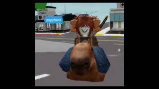 Capybara roblox brookhaven [upl. by Quita]