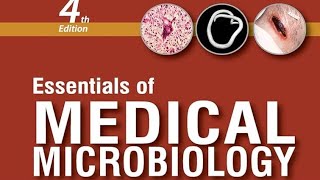 CANDIDA infection microbiology mbbs [upl. by Kirstin]