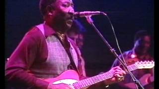 Muddy Waters  Live Westfalenhallen Dortmund Germany 10121978 [upl. by Pierrette439]