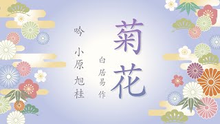 詩吟 『菊花』 旭昭流 小原旭桂 [upl. by Roehm]