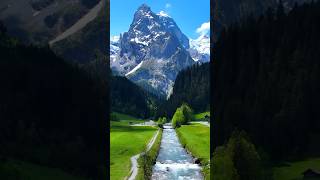 NATURE SWITZERLAND RELAXATION shortsvideo nature switzerland [upl. by Dnalrag]