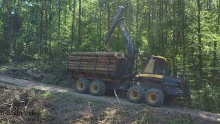 4K Ponsse Buffalo Rückezug  Forwarder in Action • Forstarbeiten • Rückezug im Einsatz [upl. by Inman541]