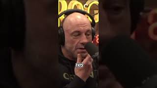 Joe Rogan’s REAL thoughts on the carnivore diet [upl. by Freberg]