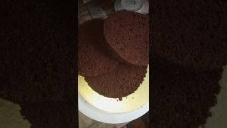 চকলেট স্পঞ্জ কেকshorts shortsfeed cooking chocolatecake [upl. by Barcroft]