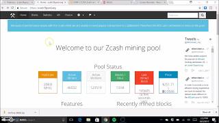 How To Mine ZCash On Flypool Setup Video  Crypto Buddy [upl. by Tiossem536]