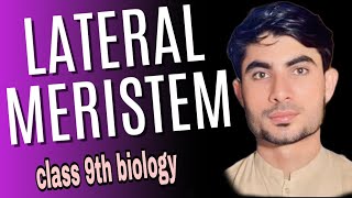 lateral meristem in urduhindi definitionabdur Rahman official [upl. by Dnaltroc]