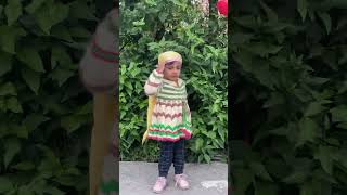 Traditional Himachali dhatu shortvideo prashiyadesigns [upl. by Anatollo109]