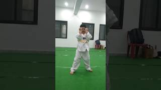 Martial arts trainingten step no 1shortsviral [upl. by Kurys368]