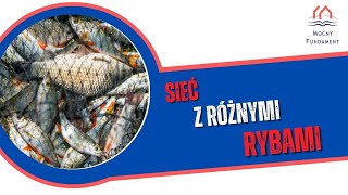 8 Przypowieść o sieci i rybach [upl. by Aneelak]