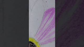 colour pencil flower  drawing youtubeshorts colourpencildrawing flower [upl. by Caughey]