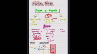 Vasopressin ReceptorsADH Receptorspart2 physiology shorts viralvideo medico neetpg fmge [upl. by Agosto]