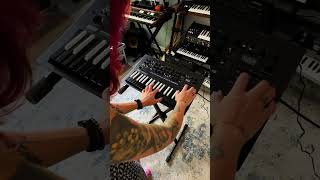 KORG Mini Sound Demo TapeSine Preset on KORG minilogue xd Inverted [upl. by Adnik]